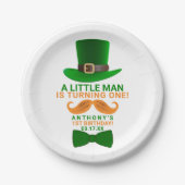 Modern Leprechaun St. Patrick's Any Age Birthday Paper Plates (Front)