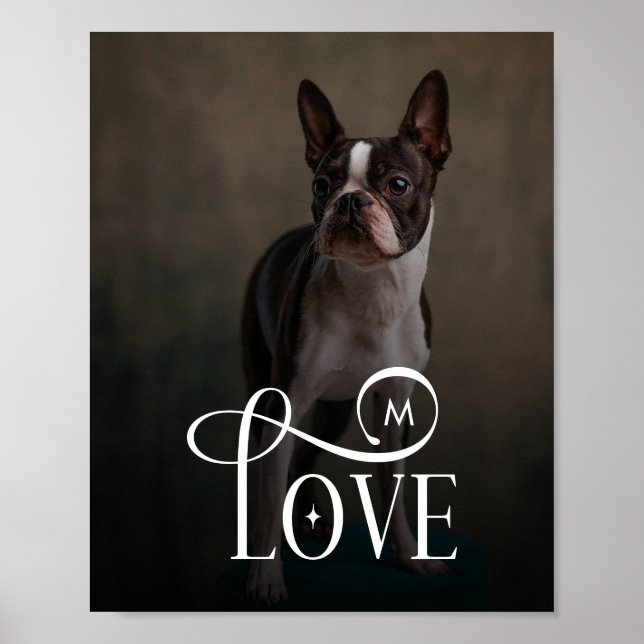 Modern Love Custom Dog Pets Photo Monogram Poster (Front)