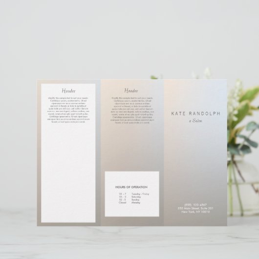 Modern Luminous Silver Salon Spa Brochure (Standing Front)