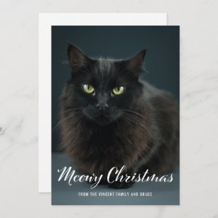 Modern Meowy Christmas Cat Christmas Photo Card