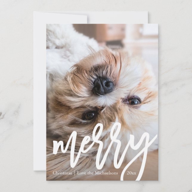 Modern Merry with Chic Leopard Print Photo Holiday Card (Front)