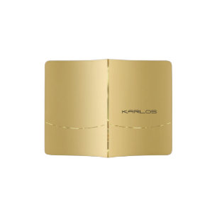 Modern Metallic Faux Gold Stainless Steel Look  Passport Holder