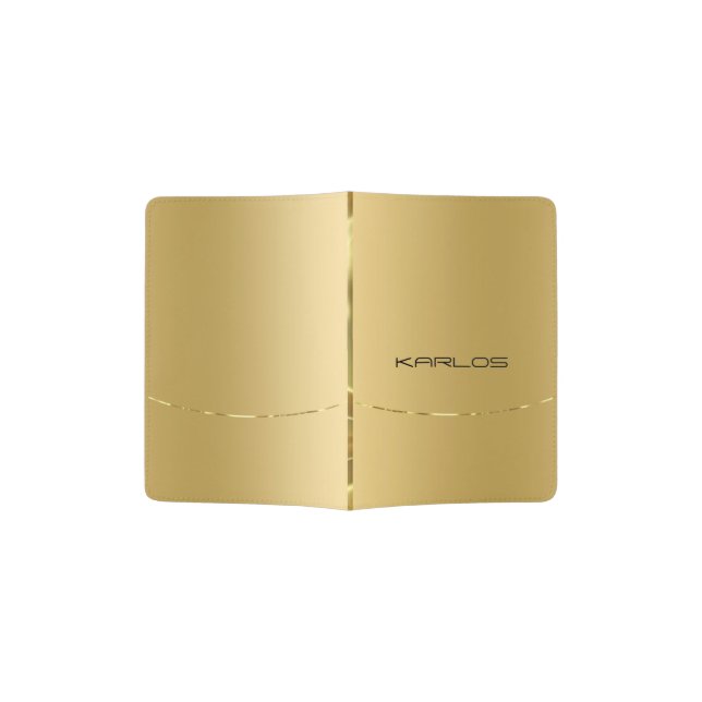 Modern Metallic Faux Gold Stainless Steel Look  Passport Holder (Opened)