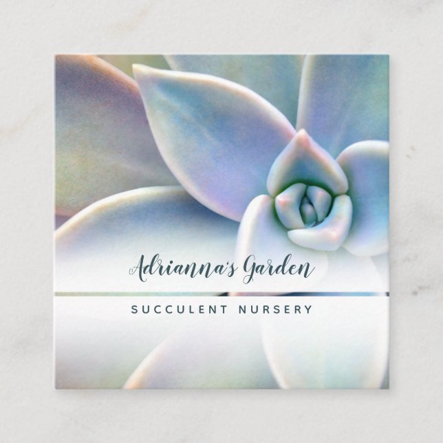 Modern Minimal Succulent Plant Nursery Photo Square Business Card (Front)