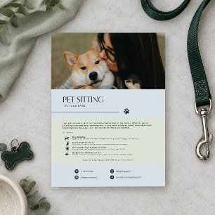 Modern Minimalist Blue Gray Dog Sitting Flyer