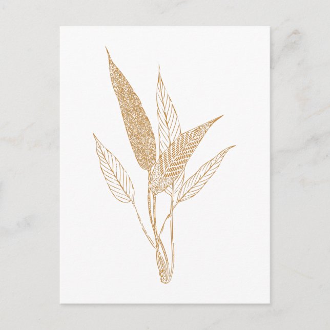 Modern Minimalist Botanical Leaves Drawing Gold Postcard (Front)
