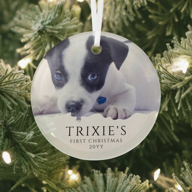 Modern Minimalist Dog's First Christmas Photo Glass Ornament (Insitu)