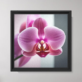 Modern minimalist elegant canvas print