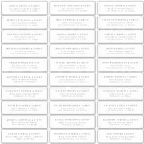 Modern Minimalist Elegant Guest Names Address Sticker