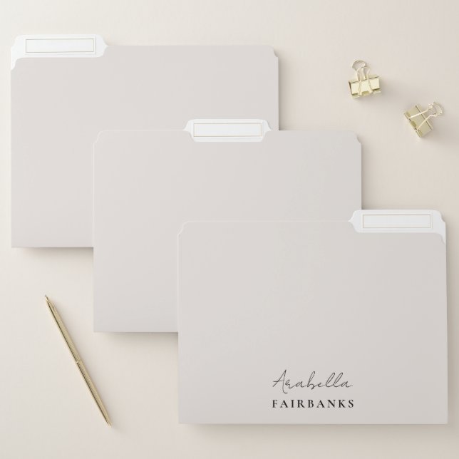 Modern Minimalist Feminine Business File Folder (Set)