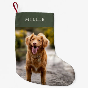 Modern Minimalist Green Pet Photo Small Christmas Stocking