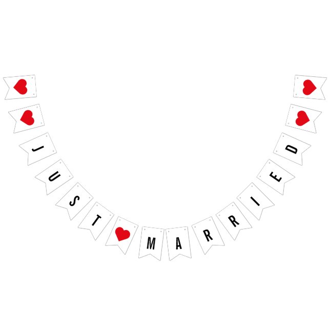 Modern Minimalist Just Married Newlyweds Bunting Flags (All)