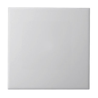Modern Minimalist Light Gray Ceramic Tile