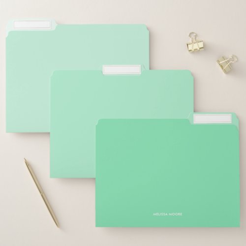 Modern Minimalist Mint Turquoise Custom Text File Folder