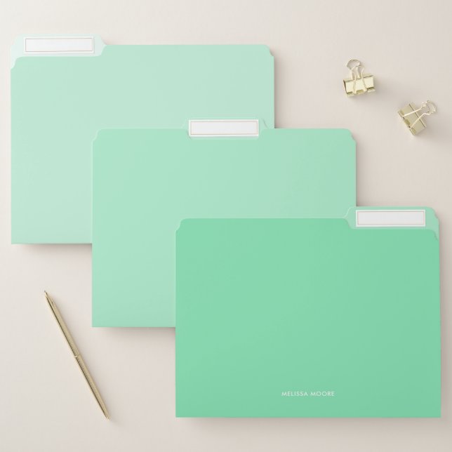 Modern Minimalist Mint Turquoise Custom Text File Folder (Set)