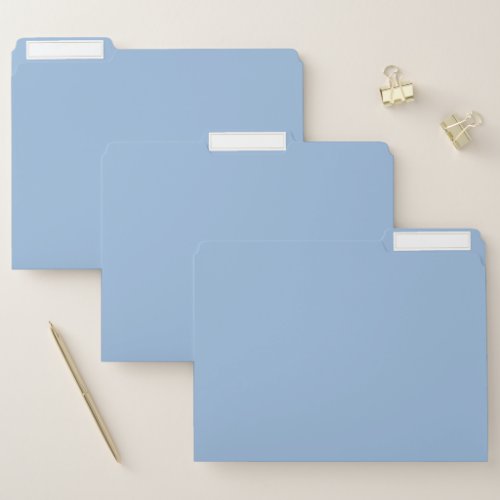 Modern Minimalist Monogram Carolina Blue File Folder