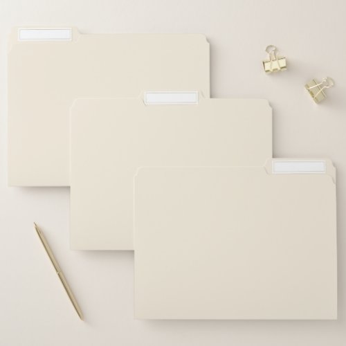 Modern Minimalist Monogram Solid Ivory Cream File Folder