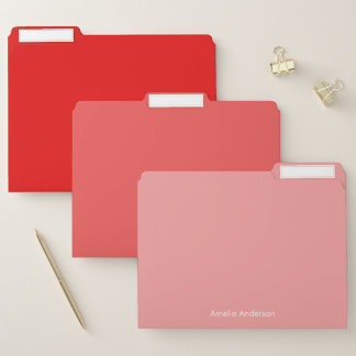 Modern Minimalist Personalized Red File Folder