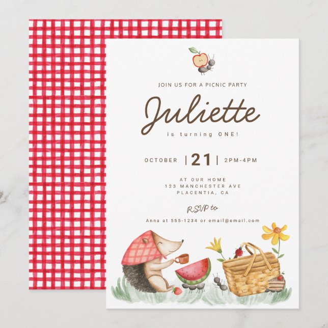Modern Minimalist Picnic Birthday Party Invitation (Front/Back)