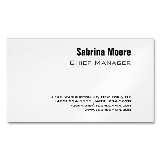 Modern Minimalist Plain Professional Business Card Magnet (Front)