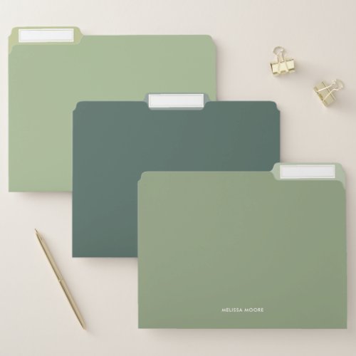 Modern Minimalist Sage Green Custom Text File Folder