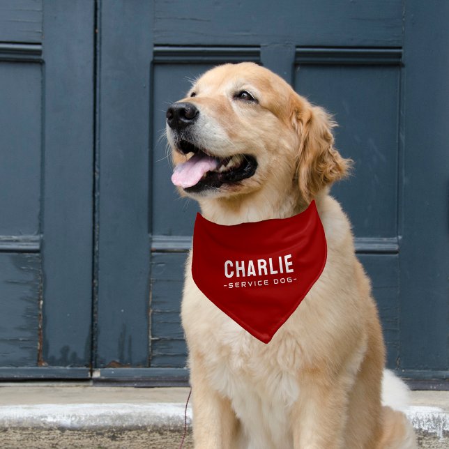 Modern Minimalist Service Dog Pet Bandana Collar (Creator Uploaded)