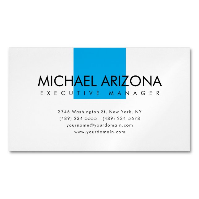 Modern Minimalist Simple Plain Business Card Magnet (Front)