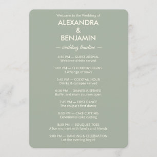 Modern Minimalist Wedding Sage Green Timeless Program