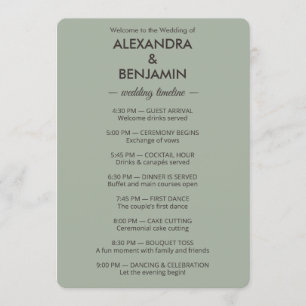 Modern Minimalist Wedding Sage Green Timeless Program