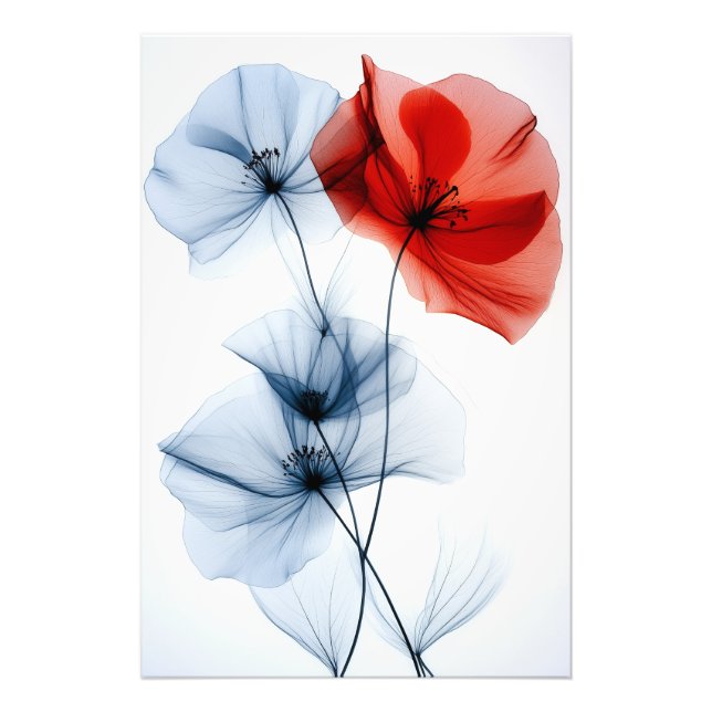 Modern minimalistic art, translucent flowers photo print (Front)