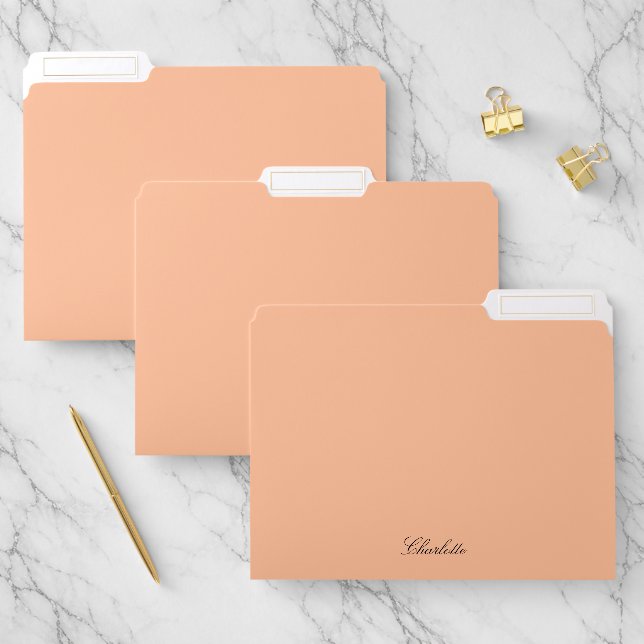 Modern Monogram Peach Script Minimalist Custom File Folder (Set)