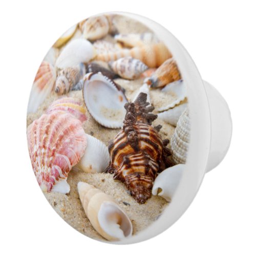 Modern Nautical Ocean Sand Beach Seashells Ceramic Knob