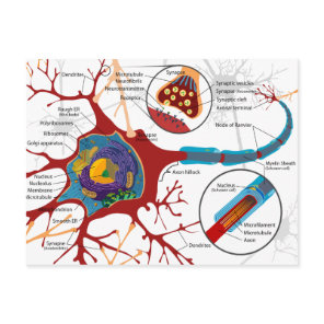 Modern Neurons Style Postcard