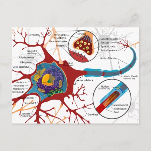 Modern Neurons Style Postcard