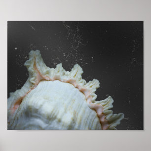 Modern Neutral Tropical Seashell Printable Art Poster