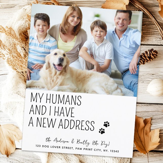 Modern New Address We Moved Pet Photo Dog Moving Postcard (Creator Uploaded)