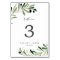 Modern Olive Branch Table Number