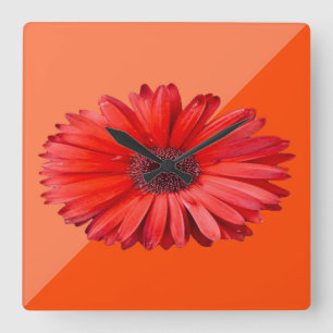 Modern Orange Daisy Botanica Square Wall Clock