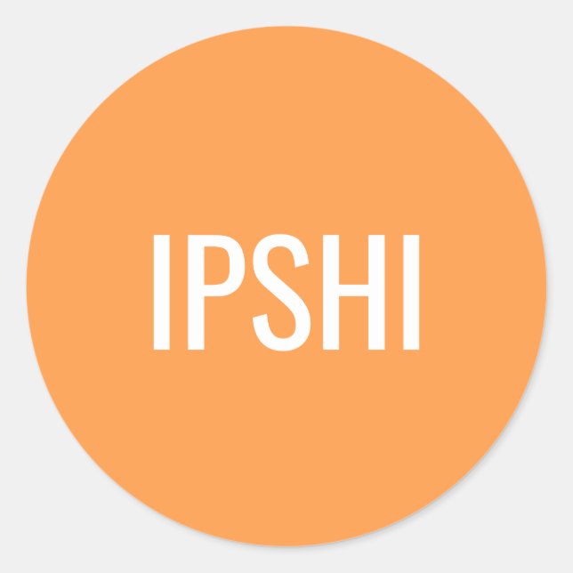 Modern Orange Professional Minimalist Classic Round Sticker (Front)