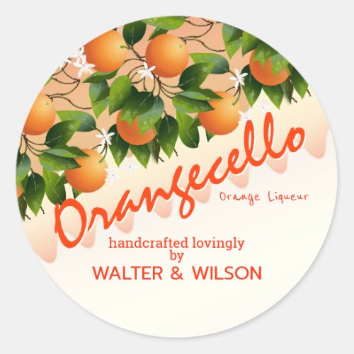 Modern Orangecello Orange Classic Round Sticker
