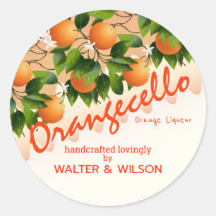 Modern Orangecello Orange Classic Round Sticker