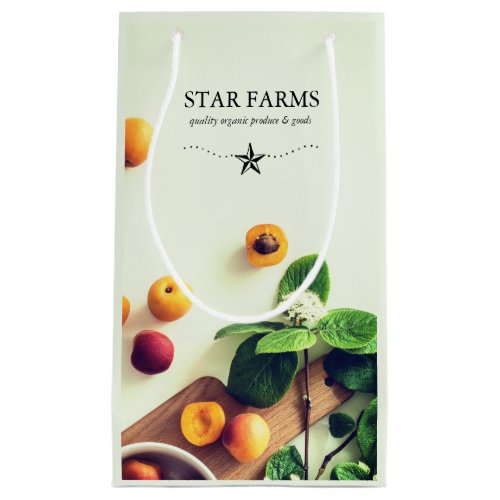 Modern Organic Farmer Fruit Herbs Promotional Smal Small Gift Bag