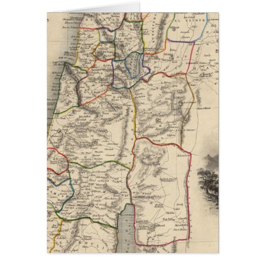 Modern Palestine Cards (Front)