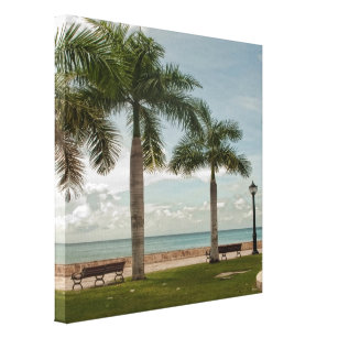 Modern Palm Tree Tropical Nature St. Croix USVI  Canvas Print