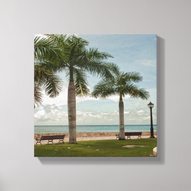 Modern Palm Tree Tropical Nature St. Croix USVI  Canvas Print (Front)
