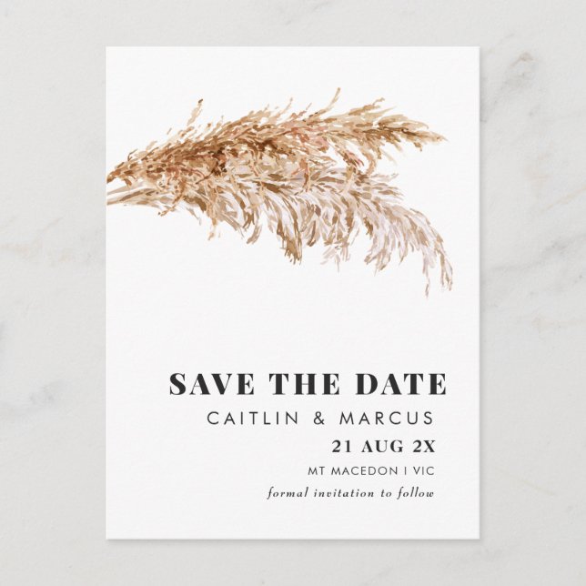Modern Pampas Wedding Save The Date Postcard (Front)