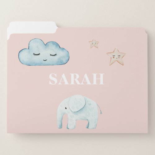 Modern Pastel Pink  Blue Child Name File Folder