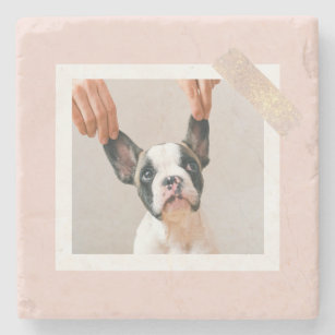 Modern Pastel Pink Frame   Personal Dog Photo Stone Coaster