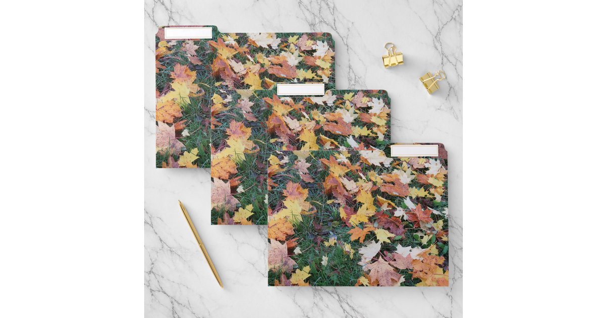 modern pattern file folder | Zazzle