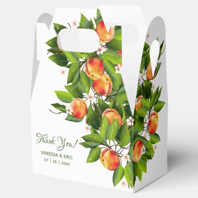 Modern Peach Fruit | Wedding Favor Box (Opened)